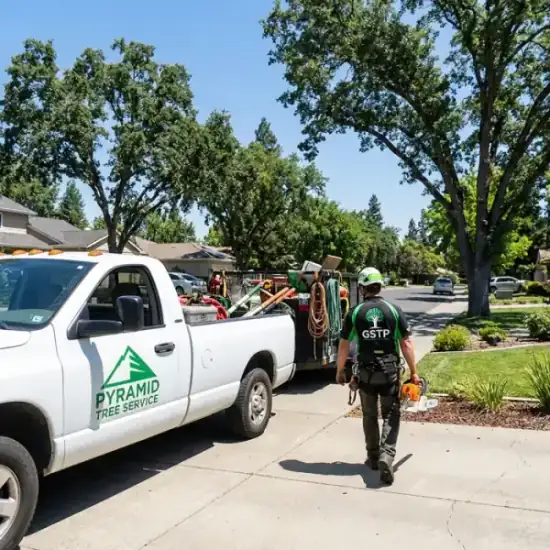 New Horizon Tree Service truck arriving at a Nashville residential job
