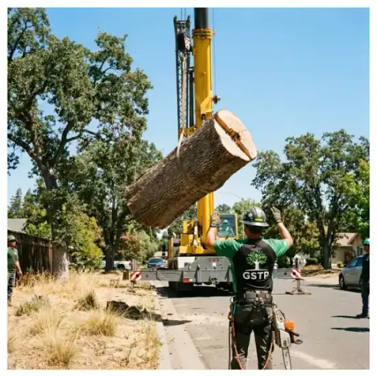 Crane lowering a tree section during a Nashville removal